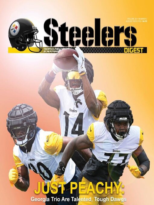 Title details for Steelers Digest by Dollard Publishing Company - Available